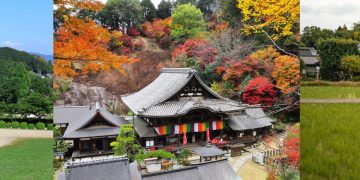 奈良最新「世界遺產」亮相 乘坐復古優雅觀光電車來趟秘境慢旅行