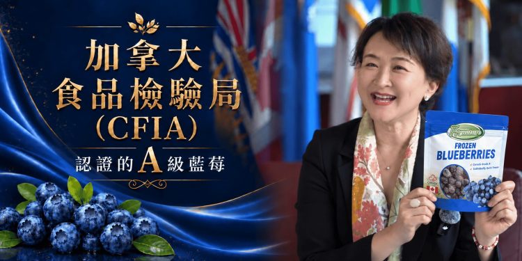 脆熱議追蹤「全聯的加拿大藍莓」富紐翠A級冷凍藍莓回來了