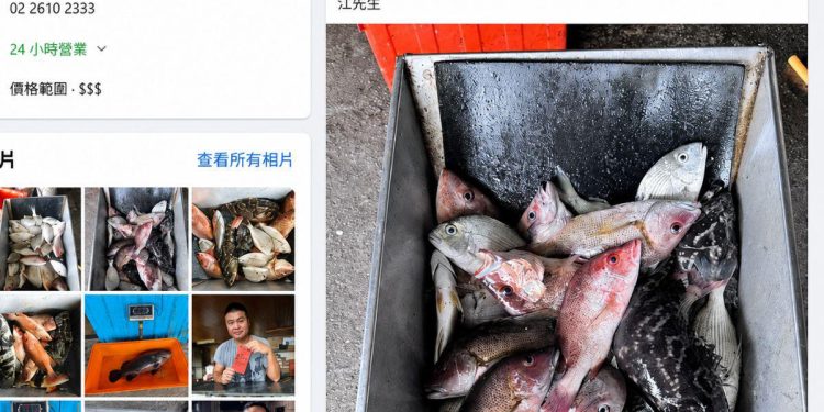 走進新北八里海釣場 考驗釣客看標技巧與搏魚技術  感受純海水池釣大物試煉場
