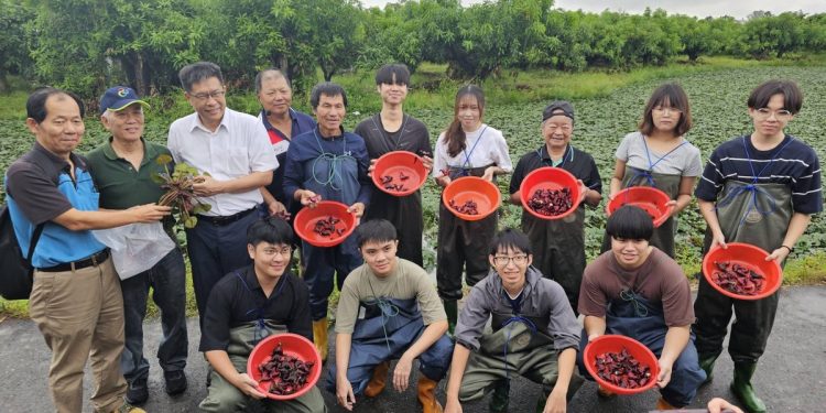從一方菱田看見農業新價值 成大攜手在地農場探索自然解方