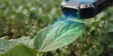 AI雜草識別新突破：WeedNet模型精準辨識逾1,500種雜草