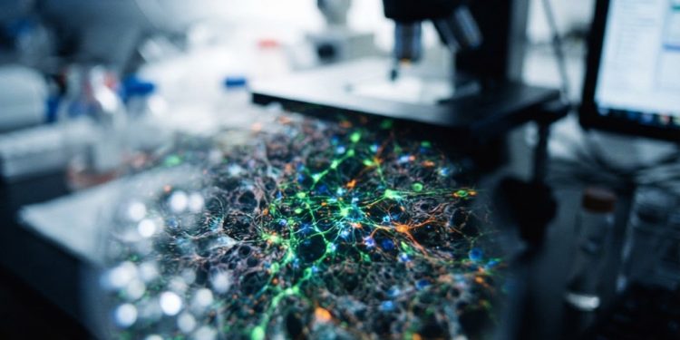 生技商 GenBio 將赴 BIO-Europe 2026 尋國際合作